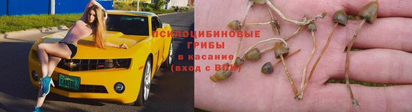 дмт Аркадак