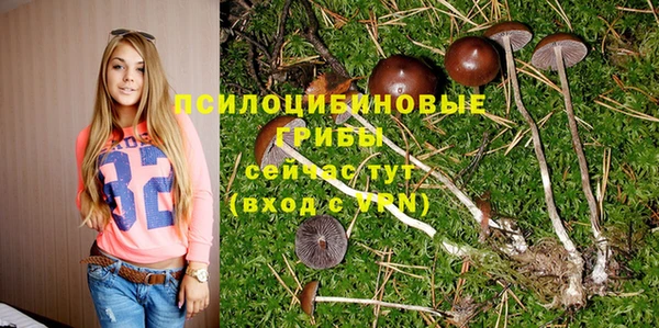 дмт Аркадак