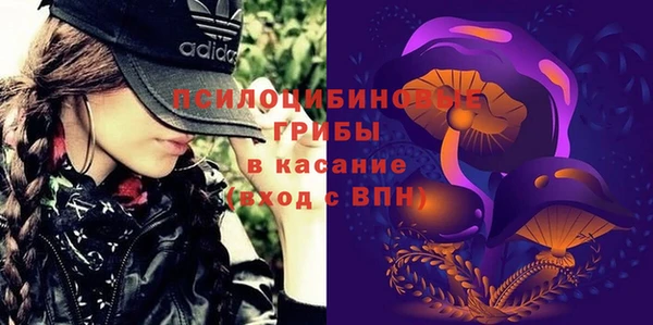 дмт Аркадак