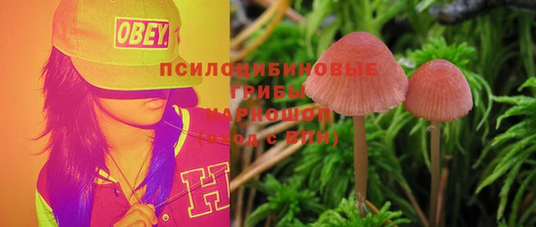 дмт Аркадак