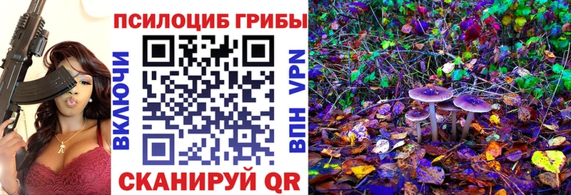 купить закладку  блэк спрут как войти  Псилоцибиновые грибы Psilocybe  Меленки 